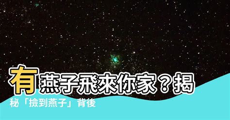 撿到燕子代表什麼